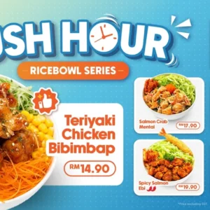 Sushi Plus Rush Hour Ricebowl Series with six ricebowls and prices